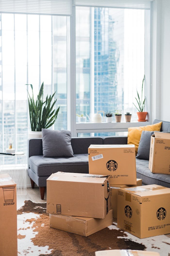 Servicios paquetería Badalona. Bright city apartment interior with boxes shows moving day setup.